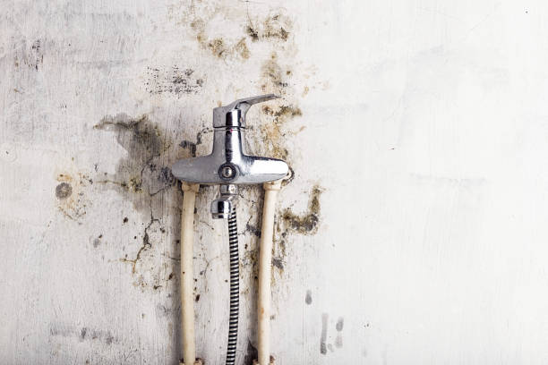 Home Mold Removal in Sharon Hill, PA