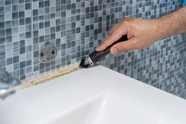 Best Toxic Mold Removal  in Sharon Hill, PA